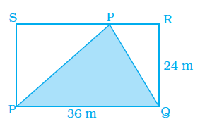 Page 354 Chapter 11 Class 8th NCERT Exemplar